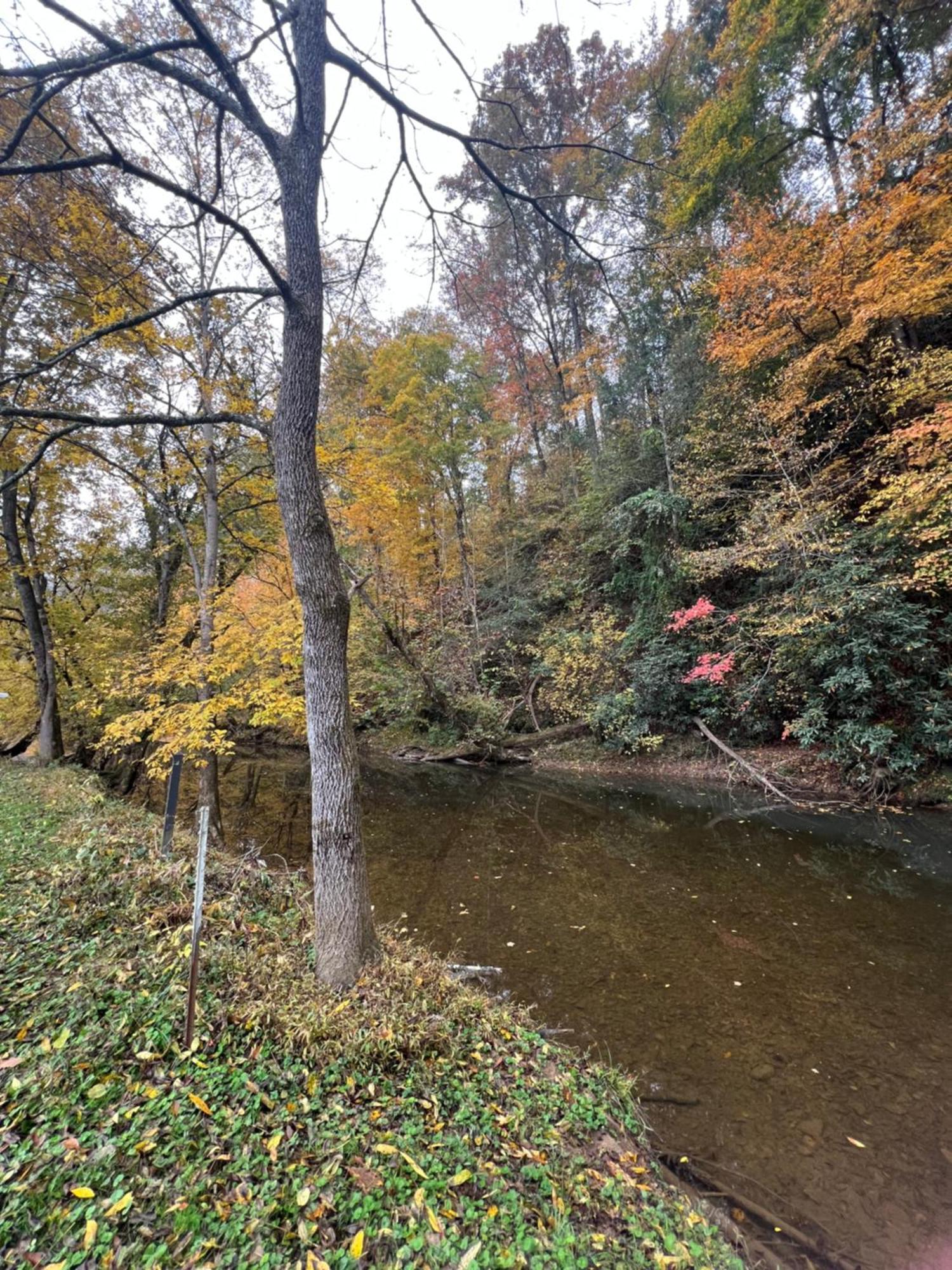 Firefly Fields 2-Acres With Guest House, Game Room, Mountain & River Views Sevierville Εξωτερικό φωτογραφία