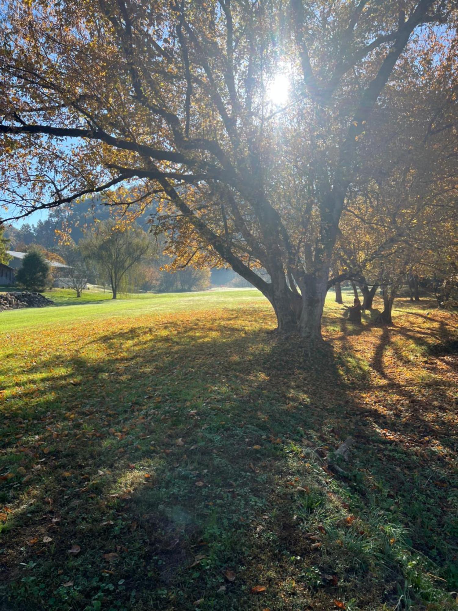 Firefly Fields 2-Acres With Guest House, Game Room, Mountain & River Views Sevierville Εξωτερικό φωτογραφία